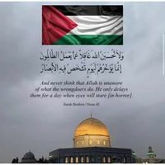 Khaled A. Dawoud
