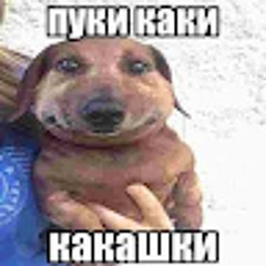 Куни Монтана