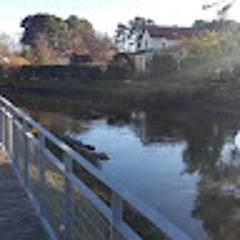 Frédéric Boulanger