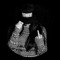 User 164212048