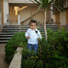 Mostafa Orabi
