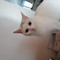 주민재