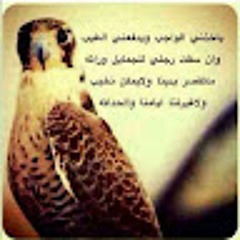 Mohammed Al Halhali