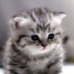 28- Đỗ Vũ Như Nam