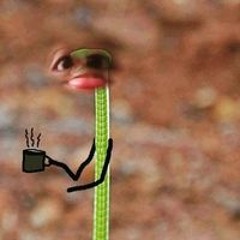 Calett Ramirez Moscol