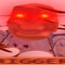 DudeUser