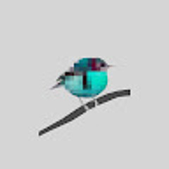 bb8_dd7