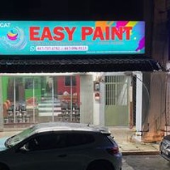 Easypaint Bbu
