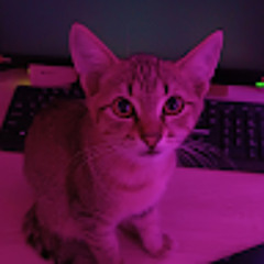 Савелий Попов