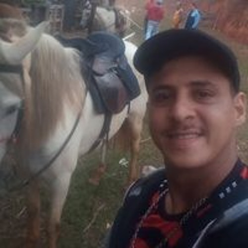 Roberto Griffo’s avatar