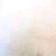 Breinerzamir3