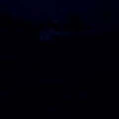 Тетяна Трофимченко