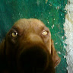 omar Loyo Sanchez