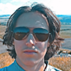 Damir
