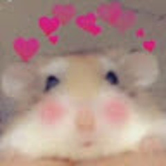 Đăng Khoa Nguyễn