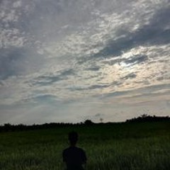 M Abayy