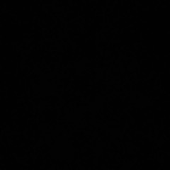 Вадим Шлапацький