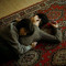 BEHZAD_AMIRI