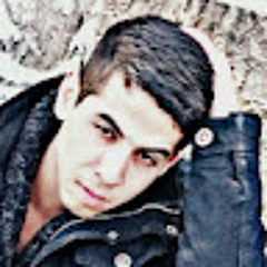 farid beygzadeh