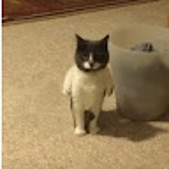 K K
