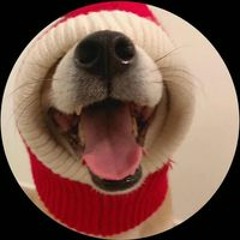 Nguyễn Minh Hiếu