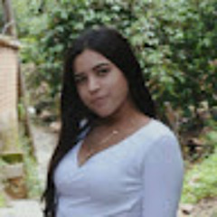 ANA PAULA SOLIS CASTRO