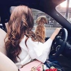 Trần Phương Linh