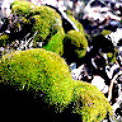 natunel ka