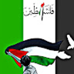 Ahmed n