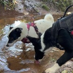 Emily Laurel Masters