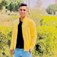 hamdy ahmed