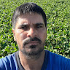 Mario Pereira