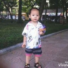Nguyễn LamAnh