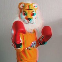 Stechkinn