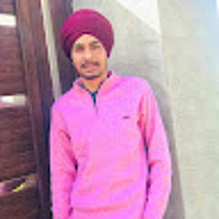 BIR SANDHU