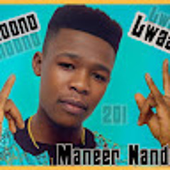 Maneer Nandø201