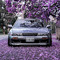 snowi_GTI