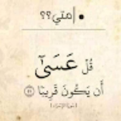 عمرو الصعيدي