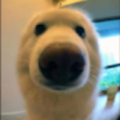 0 0