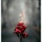 Hazem Refat