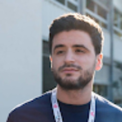 mickael hamouma
