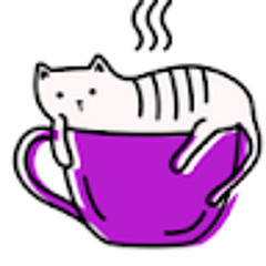 Cat Studio