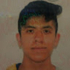 Salas Carrasco Diego