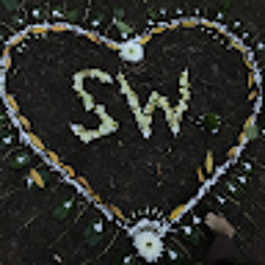 Sharon Washington-Barnes