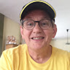 Pieter Meulendijks
