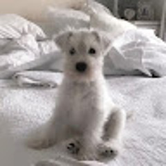 효준