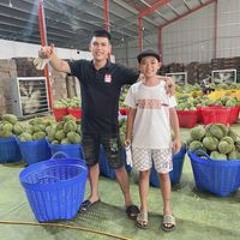 Nam Vo hoai