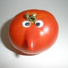 Nguyễn Vũ Hải Minh