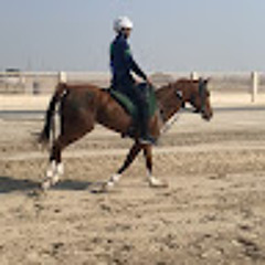 Hamad Alsaigh