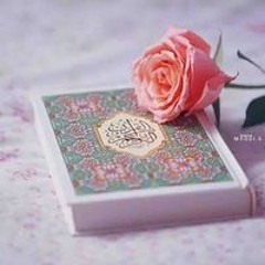 Nagah Abdallah